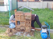 Opravujeme hmyzí hotel